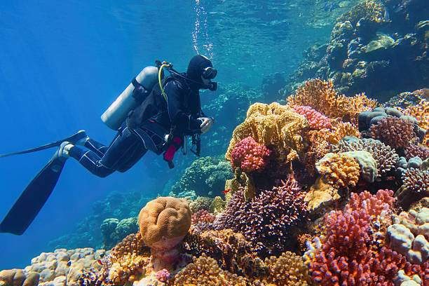Scuba Diving