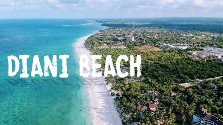 Safari from Diani