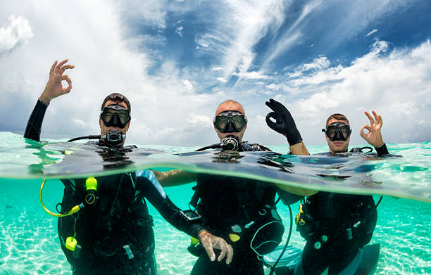 SSI Open Water Diver: Learn to Dive - view 1